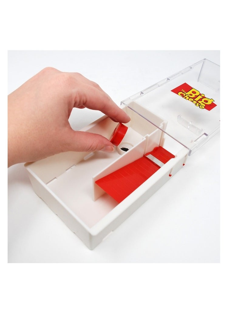 STV Live Multi-Catch Mouse Trap