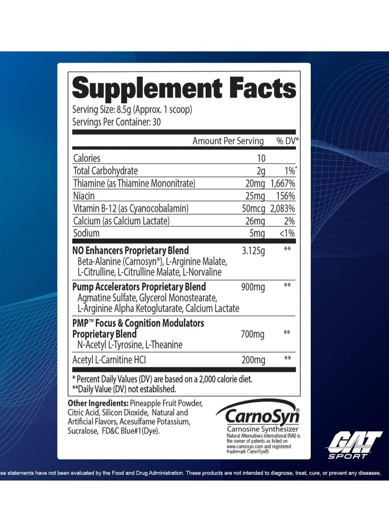 GAT Sport Stim Free PMP, 255g, Blue Raspberry Flavor, 30 Serving