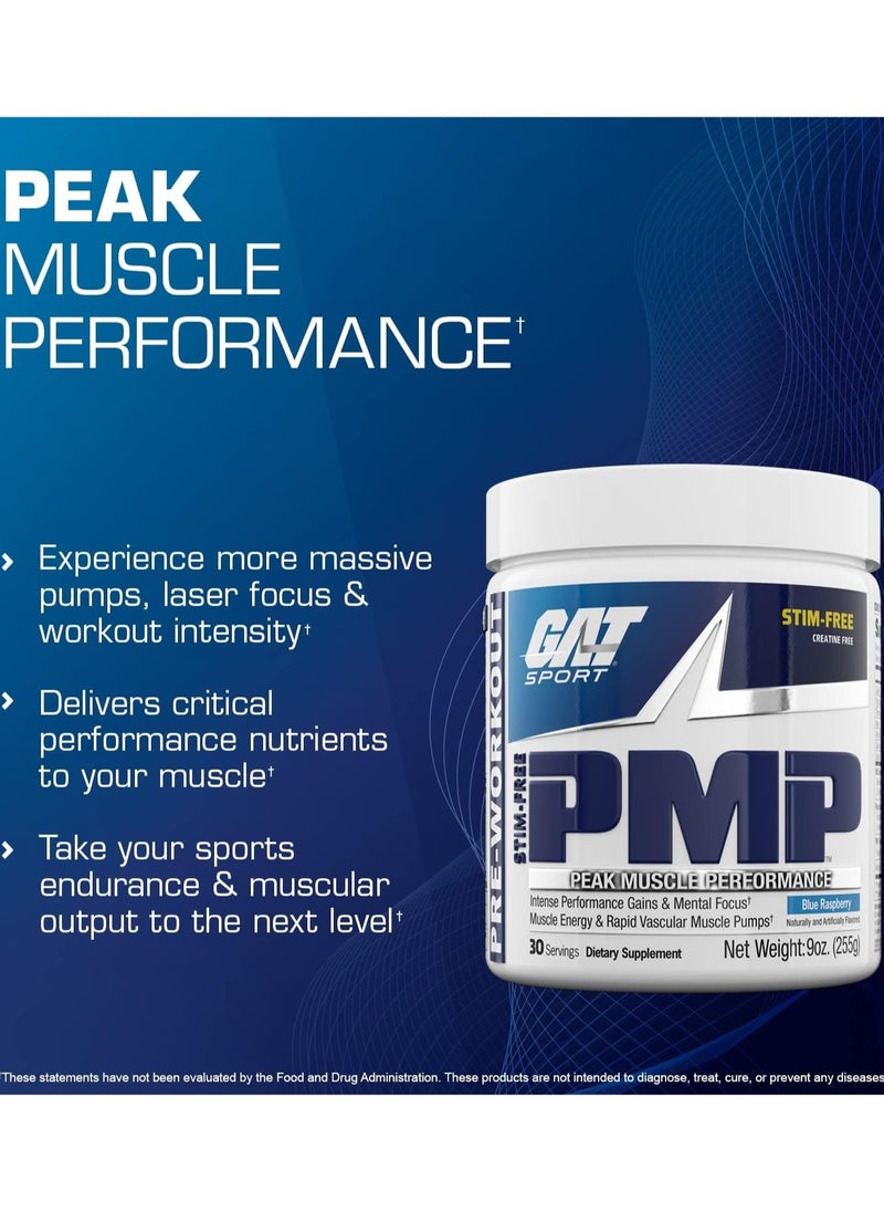 GAT Sport Stim Free PMP, 255g, Blue Raspberry Flavor, 30 Serving