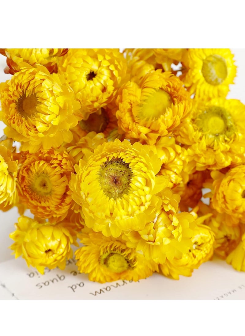 Dried Flowers, 36PCS Bouquet Natural Daisy, Multicolor Daisies Artificial Sunflowers, Dry Flower Arrangements for Wedding, Farmhouse Table Vase Decor, Home Office Party Decoration