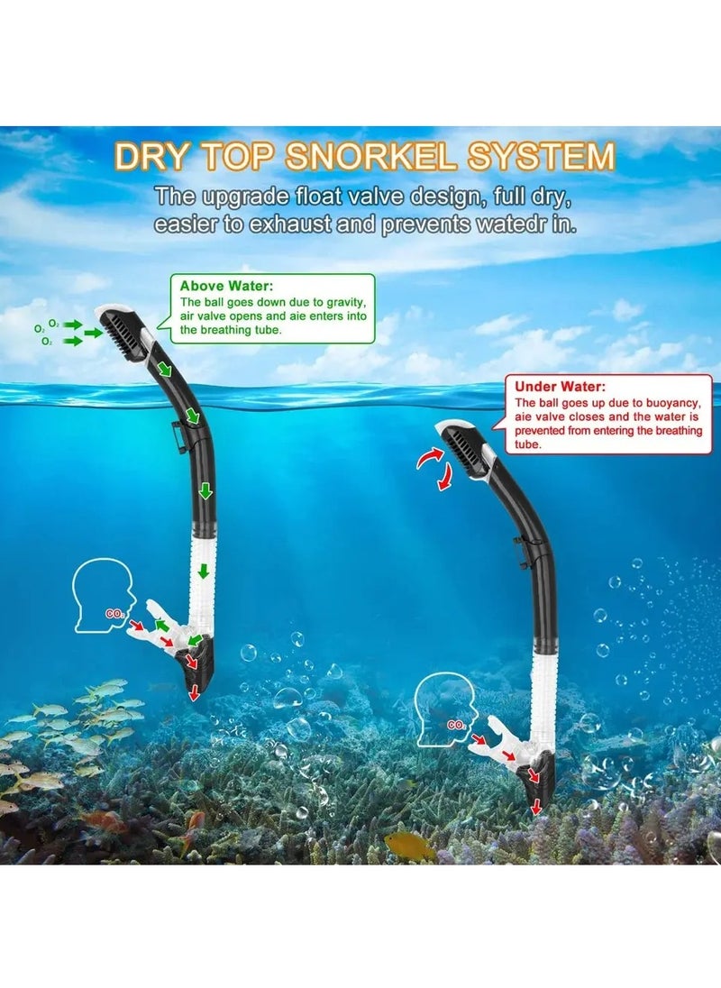 Dry Snorkel Set Diving Mask For Adults Tempered Glass Professional Panoramic Snorkeling Gear Swimming Training Snorkel Kit