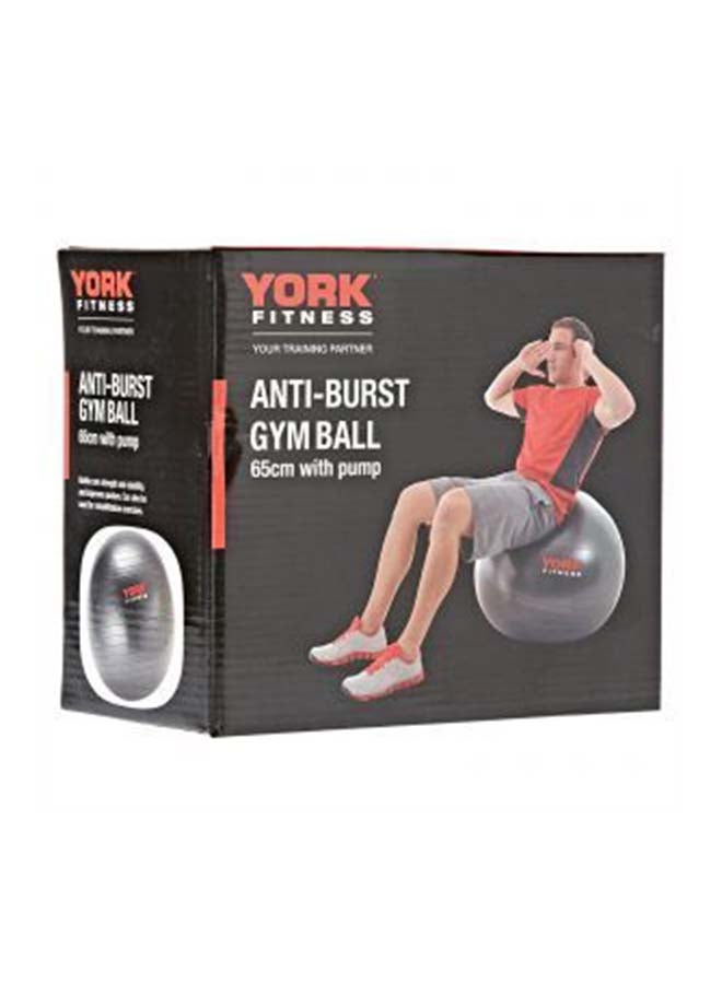 Anti-Burst Gym Ball 75cm