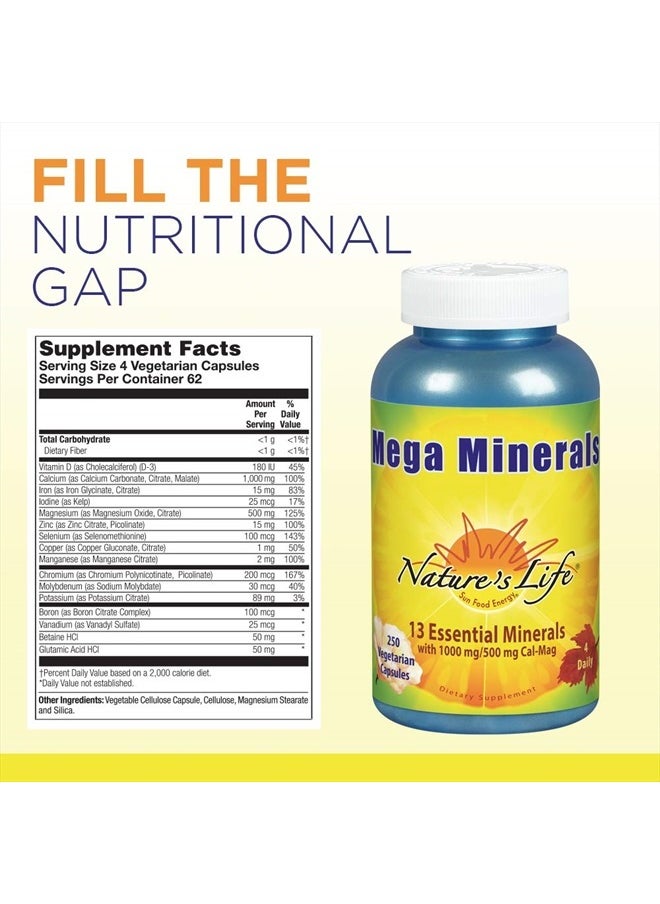 Mega Minerals Complex | Complete Multi Mineral + Vitamin D Supplement | 250 Vegetarian Capsules