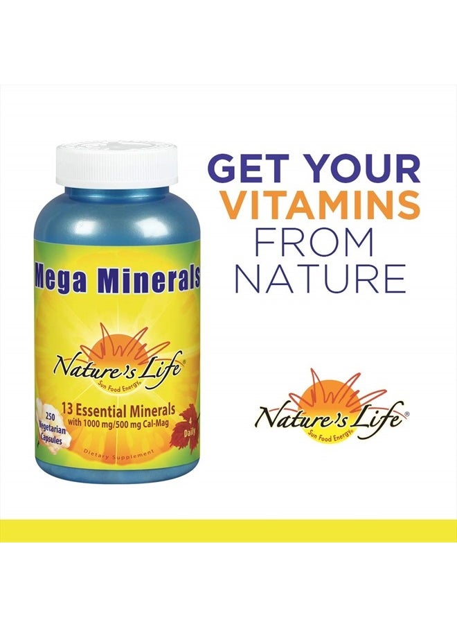 Mega Minerals Complex | Complete Multi Mineral + Vitamin D Supplement | 250 Vegetarian Capsules