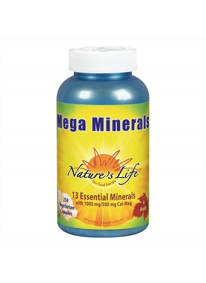 Mega Minerals Complex | Complete Multi Mineral + Vitamin D Supplement | 250 Vegetarian Capsules