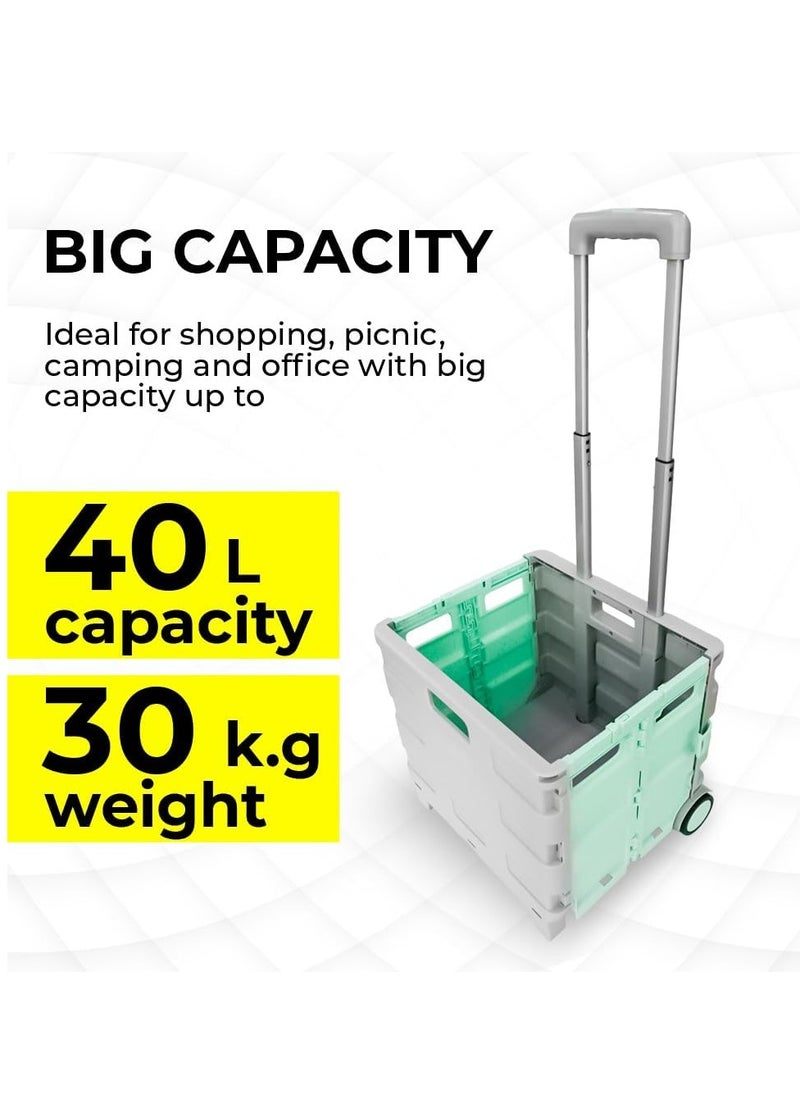 BERRY 40KG Foldable Shopping Trolley - Plastic Cart with 2 Wheels and Lid, Portable Design with Telescopic Handle | Multipurpose Utility Cart for Shopping and Teachers (Mint Green & Grey)