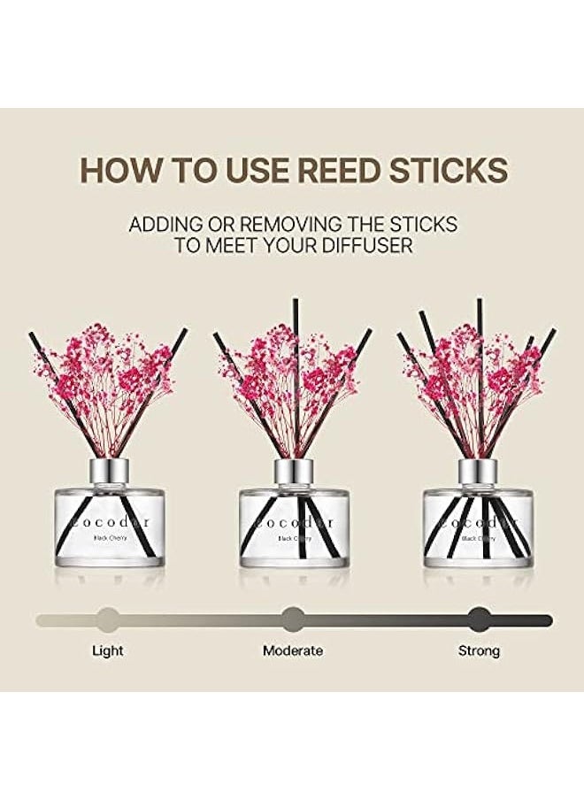 Cocodor Preserved Real Flower Reed Diffuser/Black Cherry / 6.7oz(200ml) / 1 Pack/Reed Diffuser Set, Oil Diffuser & Reed Diffuser Sticks, Home Decor & Office Decor, Fragrance and Gifts