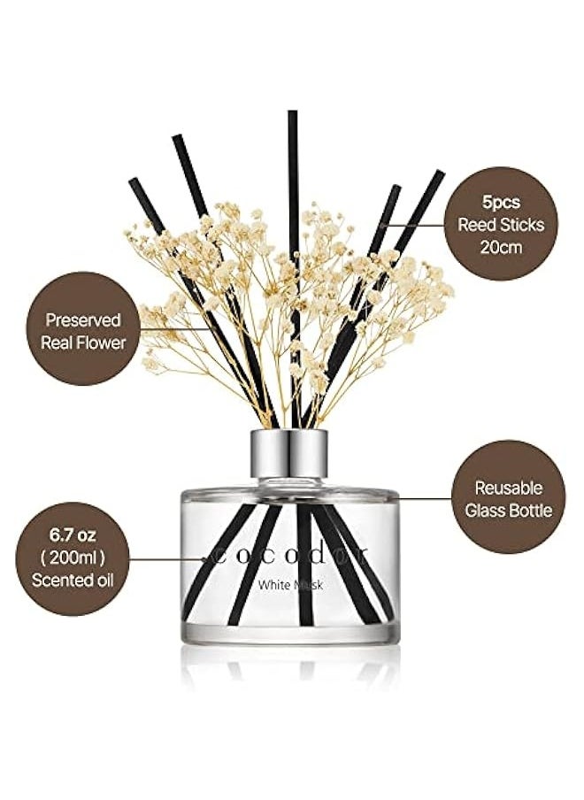 Cocodor Preserved Real Flower Reed Diffuser/Black Cherry / 6.7oz(200ml) / 1 Pack/Reed Diffuser Set, Oil Diffuser & Reed Diffuser Sticks, Home Decor & Office Decor, Fragrance and Gifts