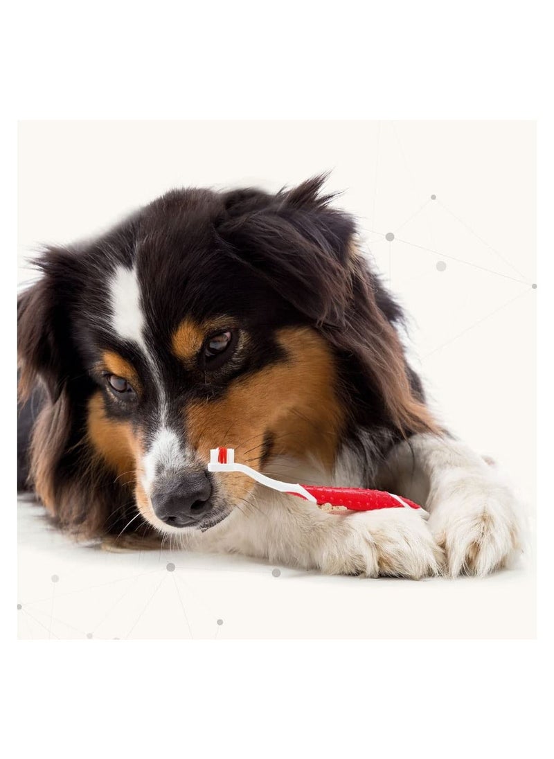 Toothpaste for Dogs 100 G