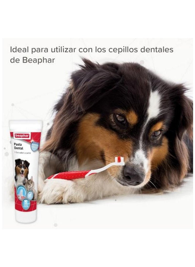 Toothpaste for Dogs 100 G