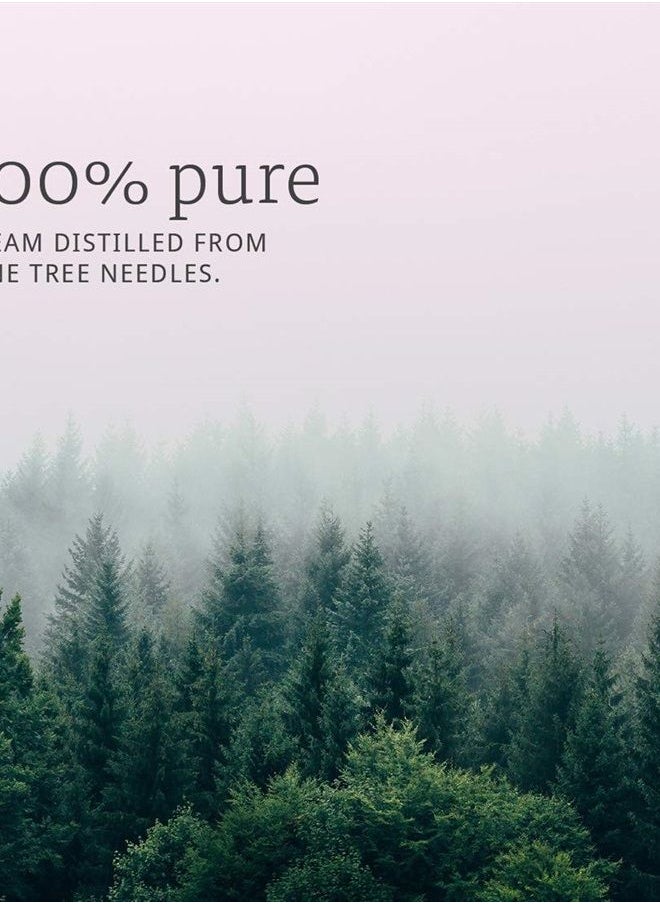 Pine Oil, 1 Fl Oz (Pack of 2)