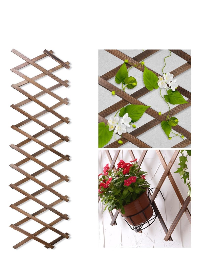 Wooden Lattice Panels for Outside 1Pack, 95