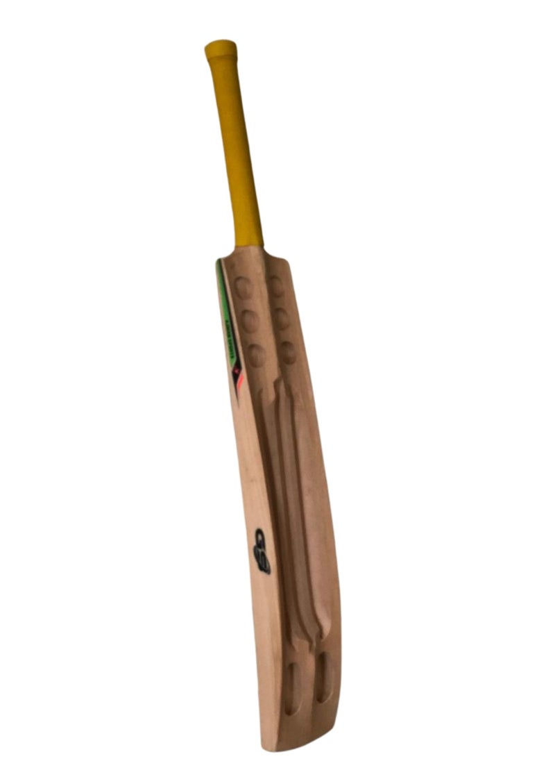 Hard Tennis Cricket Bat - Kashmir Willow Cricket Bat