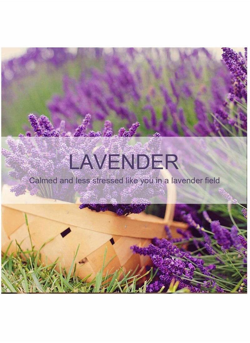 12 Packs Lavender Closet Deodorizer Air Freshener Long Lasting Scented Drawers Sachets Smell Goods for House