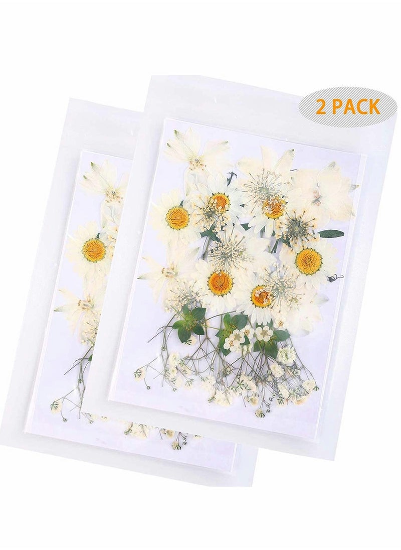 72 PCS Real Dried Pressed Flowers, Art Natural Dried Flower Leaf Plant Herbarium for Making Jewelry Nail Scrapbooking DIY Candle Decoration Resin Jewelry...