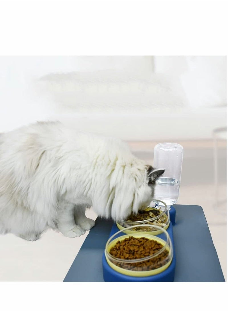 Cat Bowls Dog Tilted Water and Food Bowl Set Pets Dual Port Feeding Pet Automatic Drinking