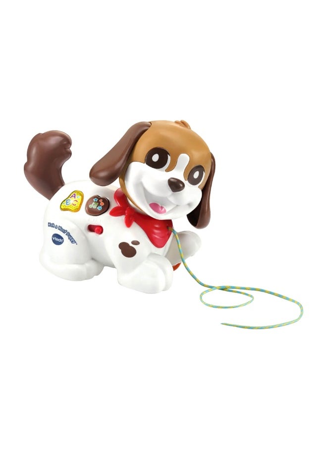 Walk & Woof Puppy Baby Toy