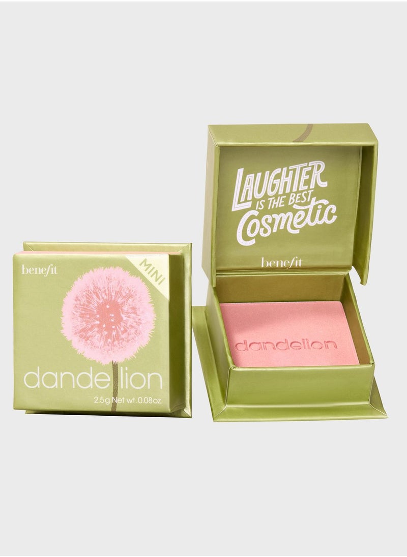 Dandelion Baby - Pink Brightening Blush Mini