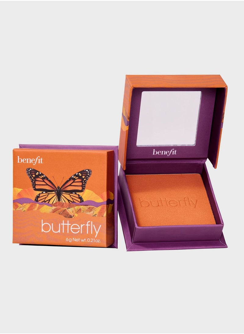 Butterfly Golden Orange Blush