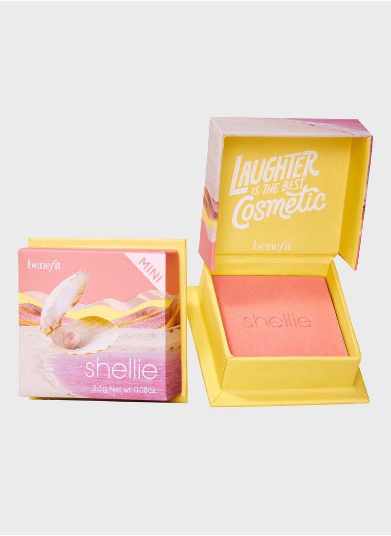 Shellie Warm - Seashell Pink Blush Mini