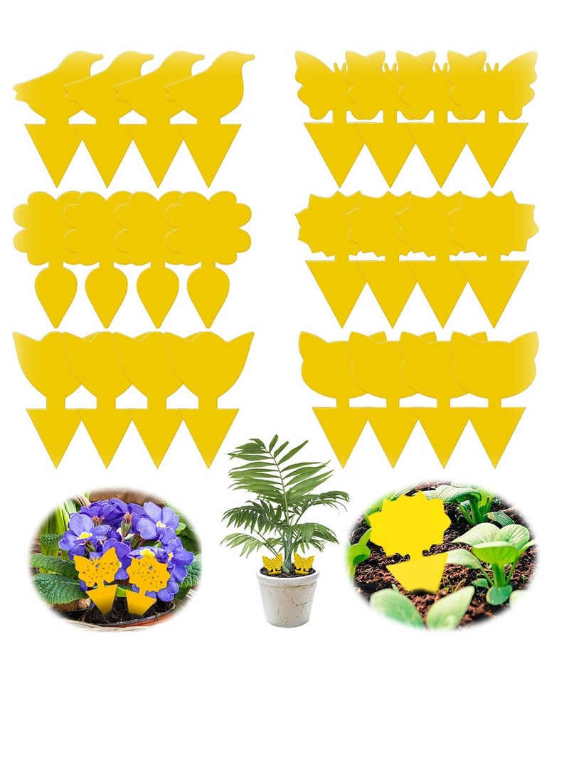 Sticky Traps, Fly Trap for Indoor/Outdoor Natural Pest Control, Fruit and Yellow Fungus Gnat Traps for Kitchen, House Plants, Whitefly, Mosquito Bits, Fly Traps Save Your Plants