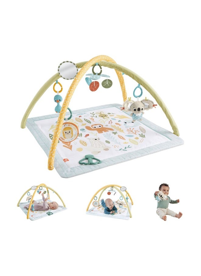 Simply Senses Newborn Gym Baby Activity Mat