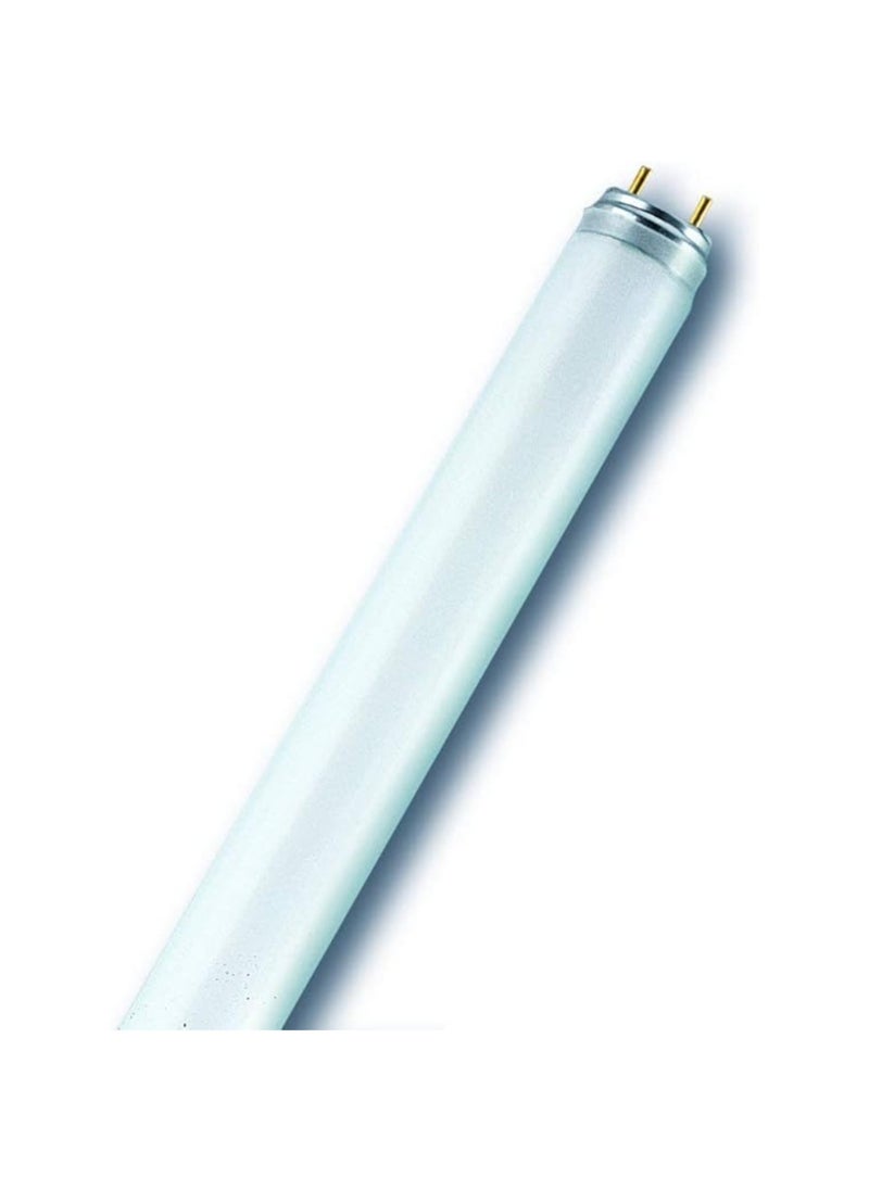 Osram/ Ledvance Fluorescent Tube Light Basic T8 L 58 Watts 4000k Cool White 1.5 m- Pack of 10