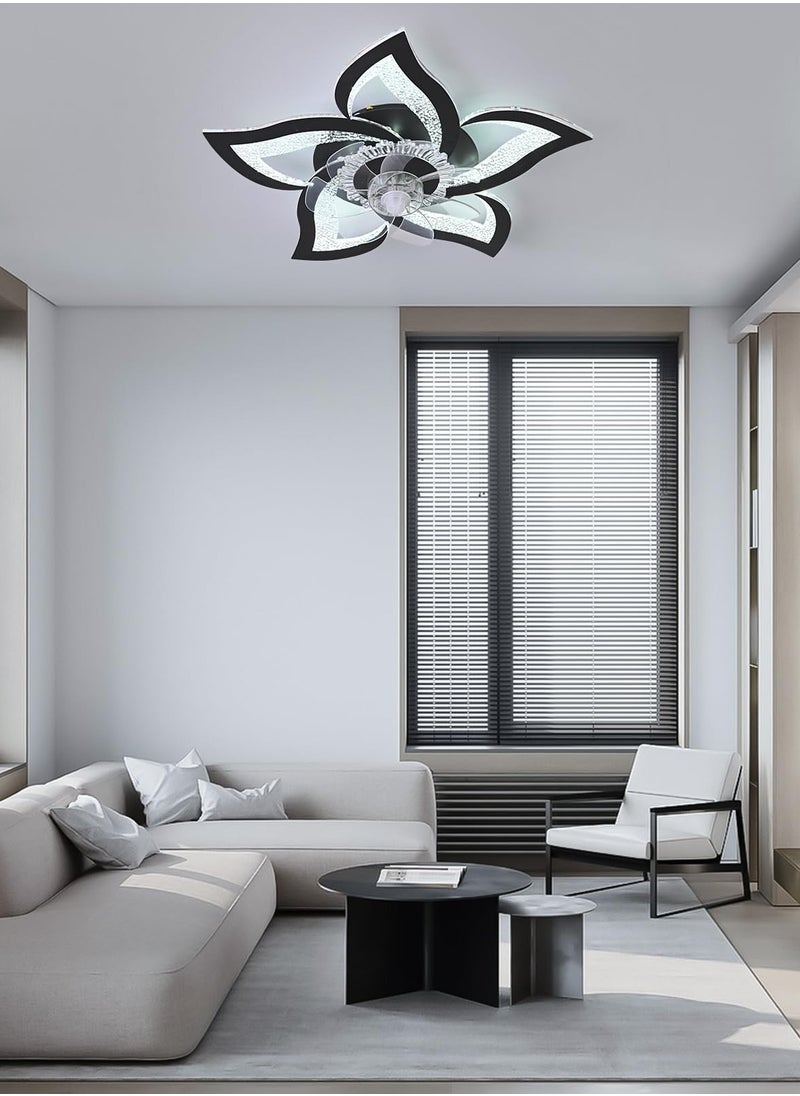 Ceiling Fan with Lights Remote Control, Black Personalized Ceiling Fan with Light, 6 Speeds 3 Light Color Flush Mount Ceiling Fan for Kitchen Bedroom