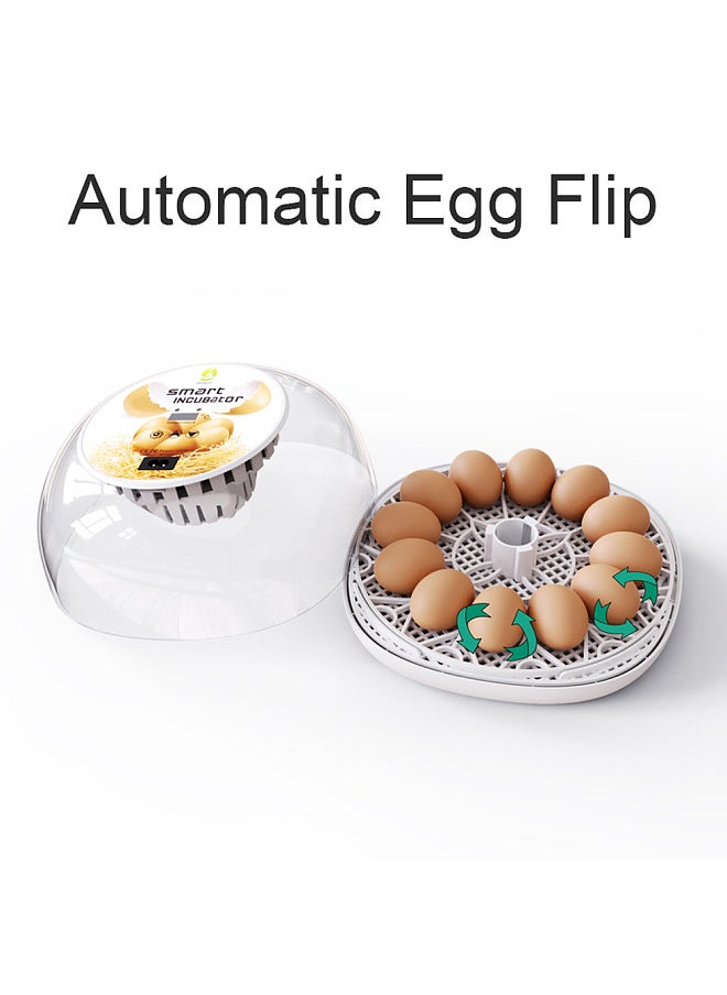 Egg Incubator, Led Egg Test Lamp, Farm Poultry, Bird, Quail Hatcher Turner, with Automatic Egg Turning,  Clear Lid Easy to Wash, Can Accommodate 12 Eggs