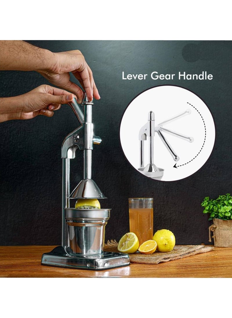 Stainless Steel Hand Juicer – Manual Citrus Press for Orange, Lemon, Lime & Grapefruit – Heavy Duty, Durable, Easy-to-Use Juicing Tool for Fresh Juice at Home