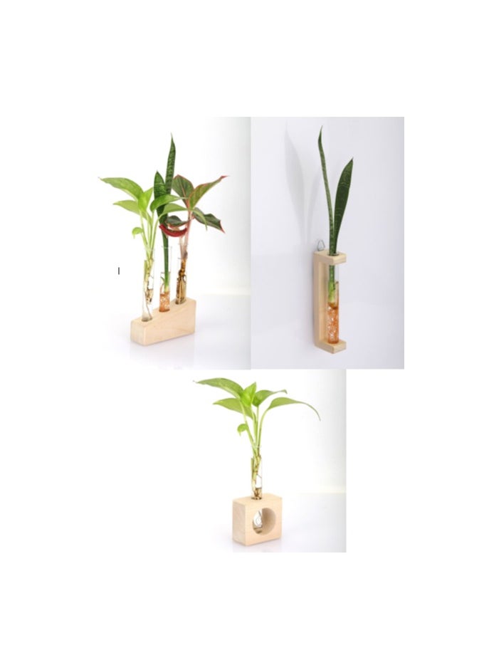 3 Pack Test Tube Glass Pot, 5 Glass Test Tube, 2 Table Top Wooden Stand & 1 Wooden Wall Hanging