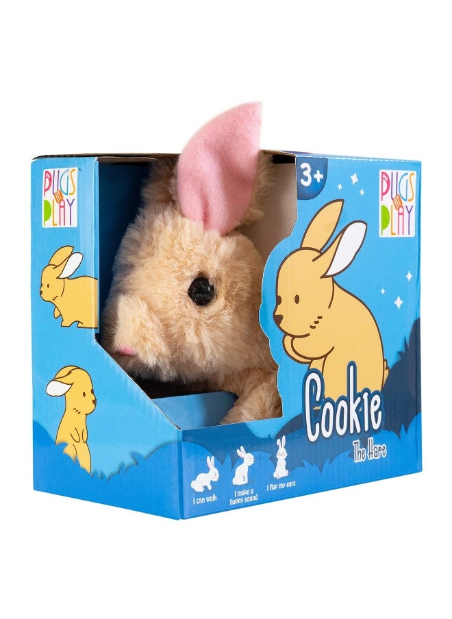 Cookie The Bouncing Hare