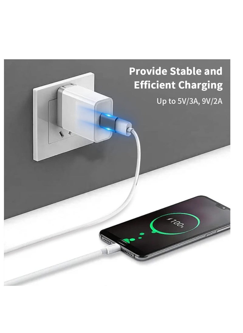2 Pack USB Male to USB Type C Female Adapter, 3.1 USB A to C Adapter, OTG Fast Charging, Suitable for iphone, Laptop, Power, MacBook