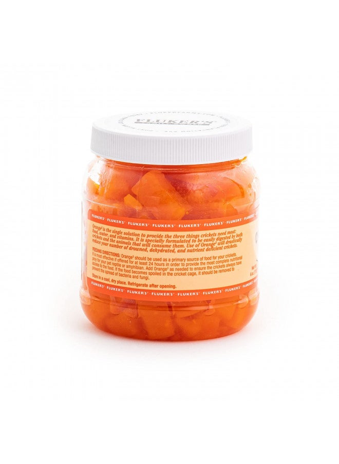 Fluker's Orange Cube Complete Cricket Diet 6 Ounce (Pack of 1)