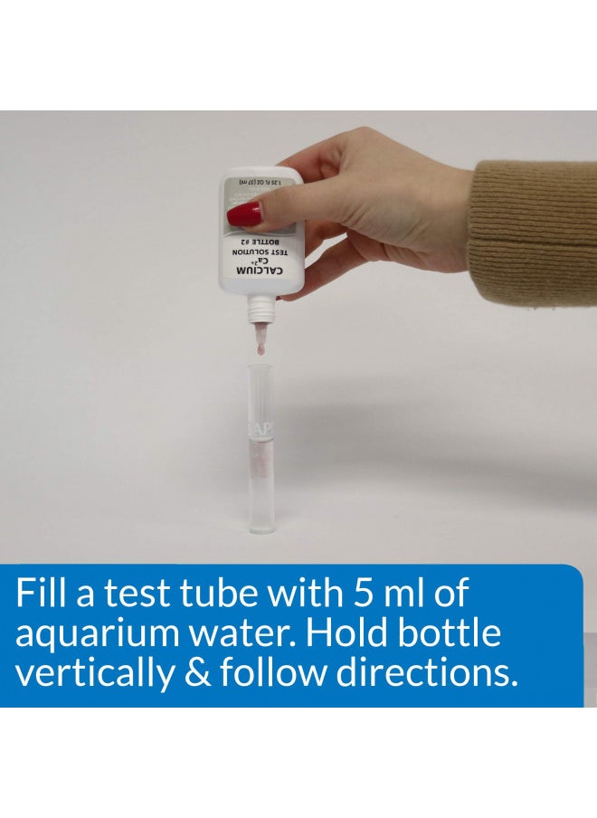 API CALCIUM TEST KIT Saltwater Aquarium Water 1-Count Test Kit, 69L (69L)