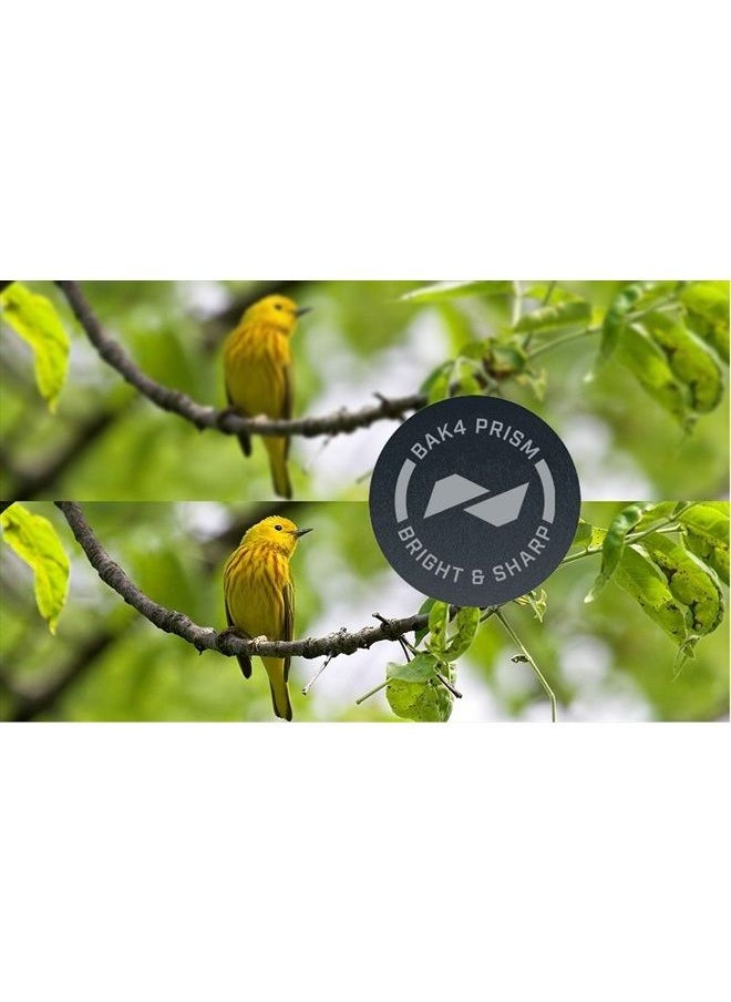 Engage EDX Binoculars, ED Prime Glass Binoculars with EXO Barrier Protection for Adults