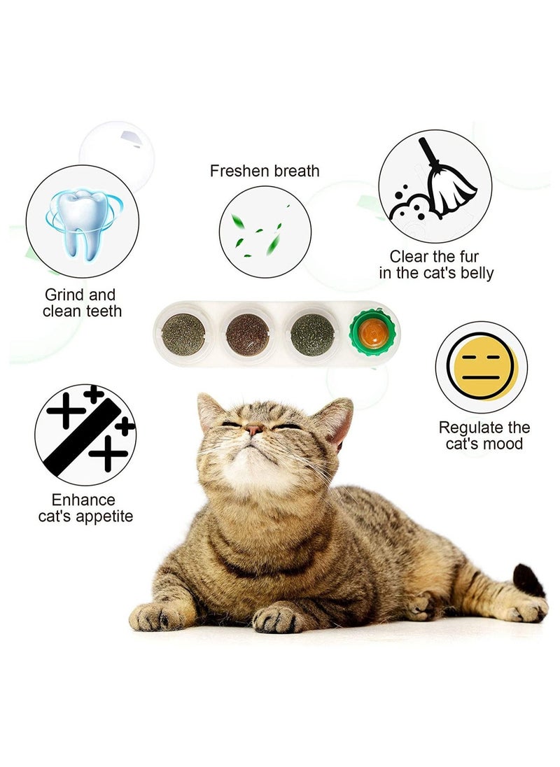 Catnip Toys For Cats Cat Lick with Treat Pet Licking Suction Molar Toy