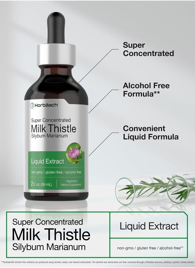 Milk Thistle Liquid Extract | 2 fl oz | Alcohol Free | Vegetarian Herbal Supplement | Non-GMO & Gluten Free