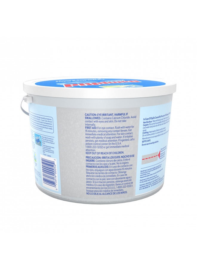 DampRid FG50T Moisture Absorber 4 lb. Hi-Capacity Bucket-for Fresher, Cleaner Air in Large Spaces-2 Pack, 4-Pound, White, 2 Count