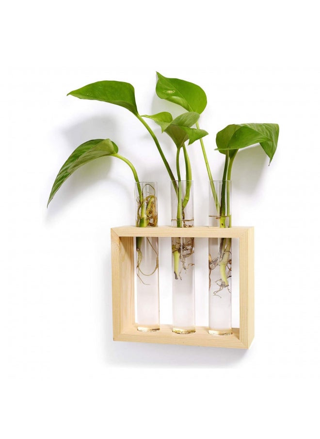 Mkono Wall Hanging Plant Propagation Glass Planter Station 5 Tubes with Wood Stand Flower Vase Desktop Terrarium for Propagating Hydroponic Cutting Plants, Home Office Decoration, Beige