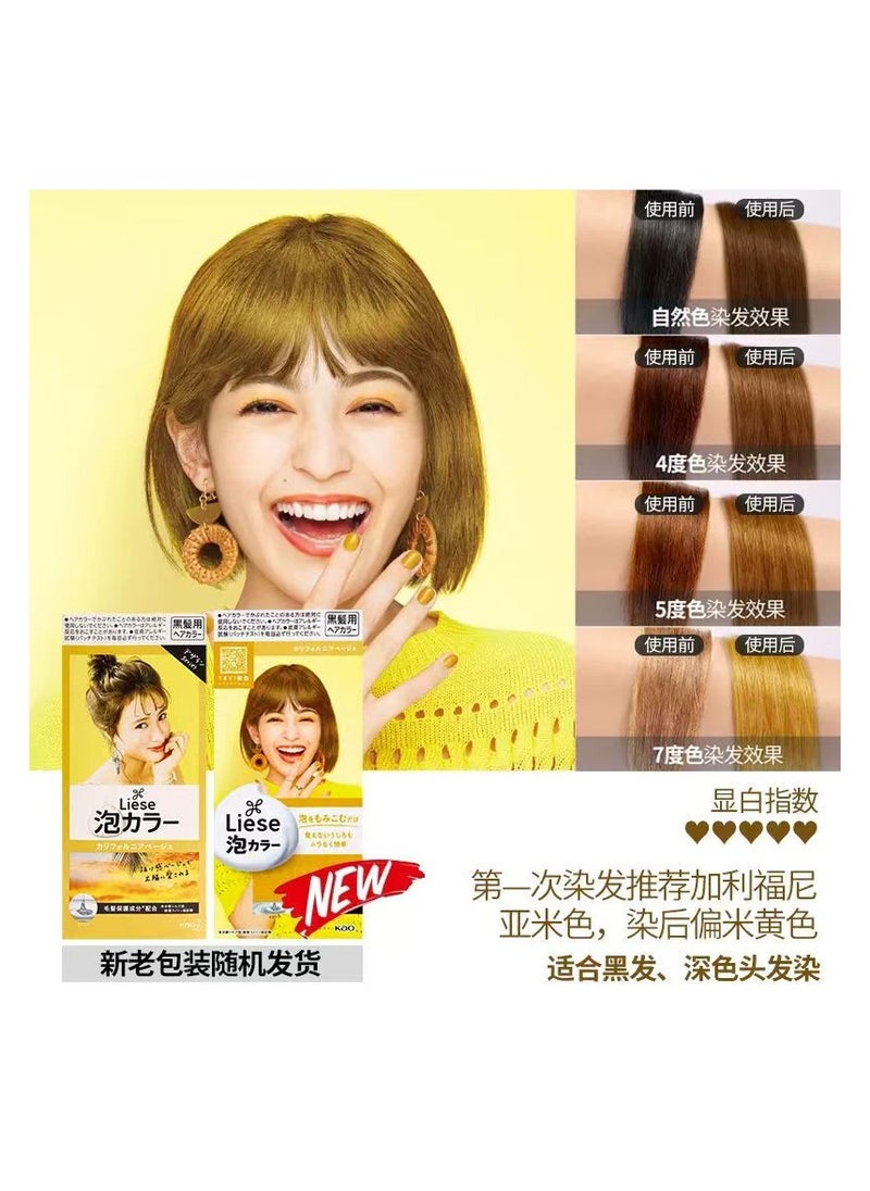 Liese Kao Bubble Hair Color