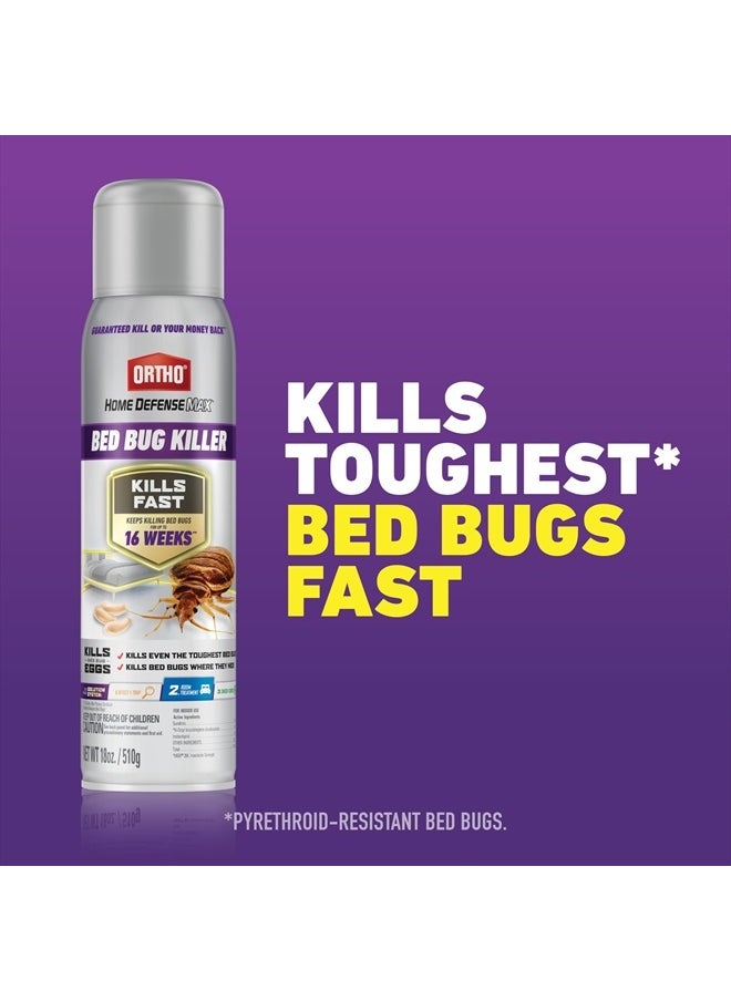 Home Defense Max Bed Bug Killer - Also Kills Fleas & Brown Dog Ticks, Spot Treatment, 18 oz