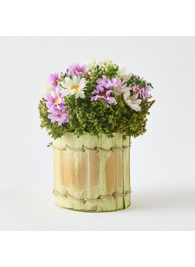 Caven Daisy Arrangement in Todi Leaf Planter 16 x 16 x 20 cm