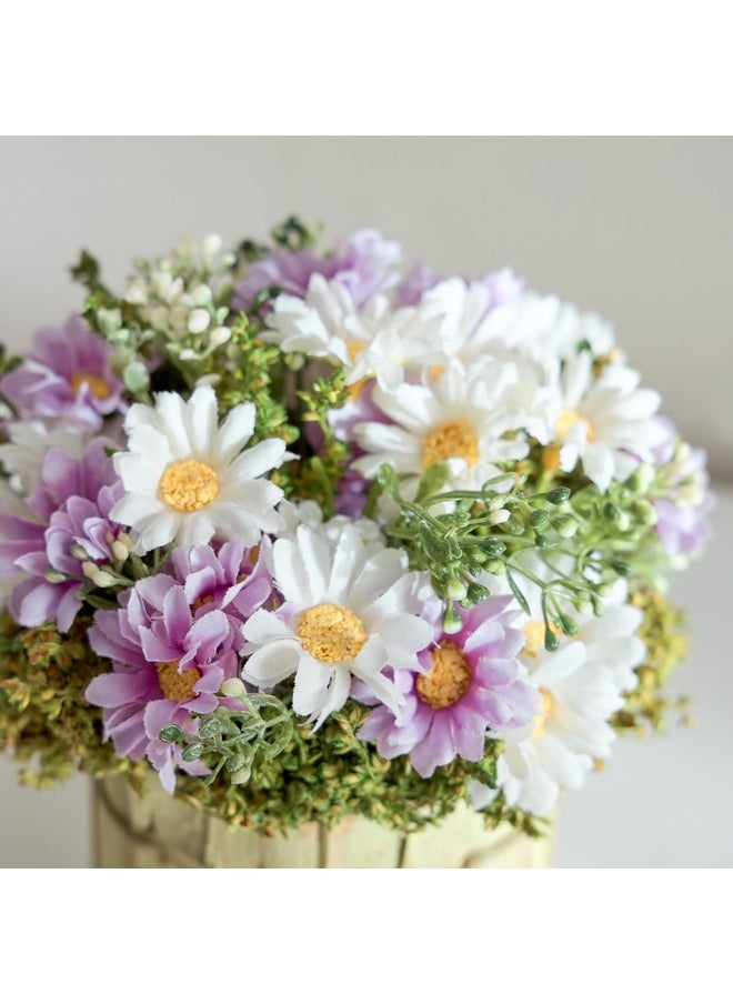 Caven Daisy Arrangement in Todi Leaf Planter 16 x 16 x 20 cm