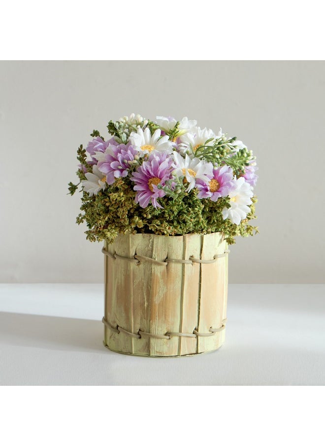 Caven Daisy Arrangement in Todi Leaf Planter 16 x 16 x 20 cm