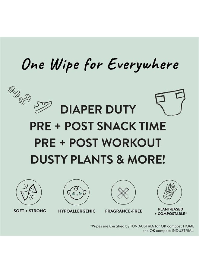 Clean Conscious Unscented Wipes | Over 99% Water, Compostable, Plant-Based, Baby Wipes | Hypoallergenic for Sensitive Skin, EWG Verified | Geo Mood, 288 Count