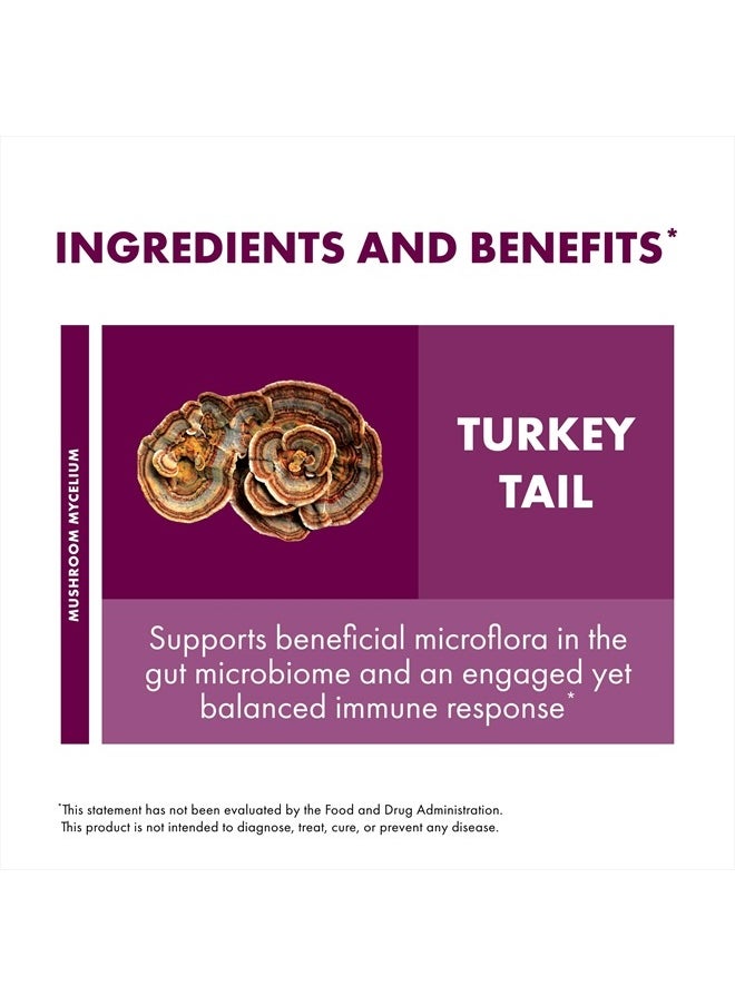 Turkey Tail Extract - Digestive Health & Immune Response Support Supplement - Mushroom Supplement for Gastrointestinal & Gut Microbiome Support - 2 fl oz (60 Servings)*