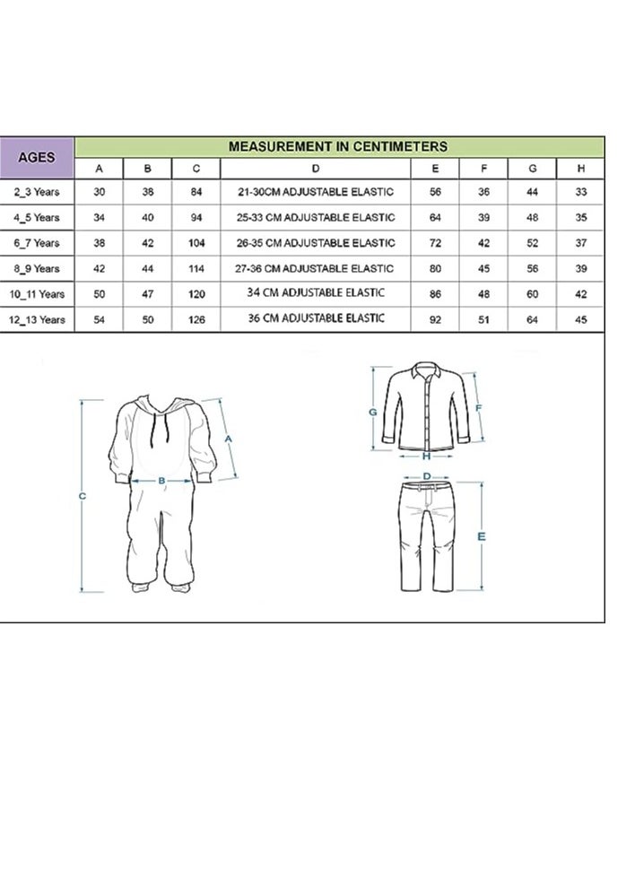 Toycee Lion Costume 6-7