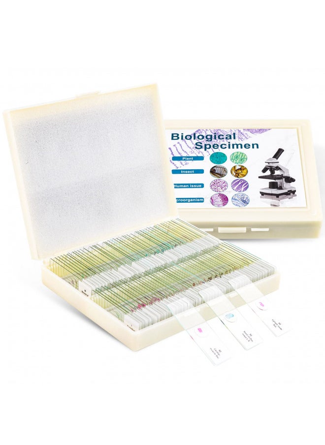 100 Prepared Microscope Slides with Specimens for Kids Adults - Bacterium, Fungus, Human Tissues, Mitosis, Plants, Insects, Animals Cells Samples for Biological Science Lab, School Students