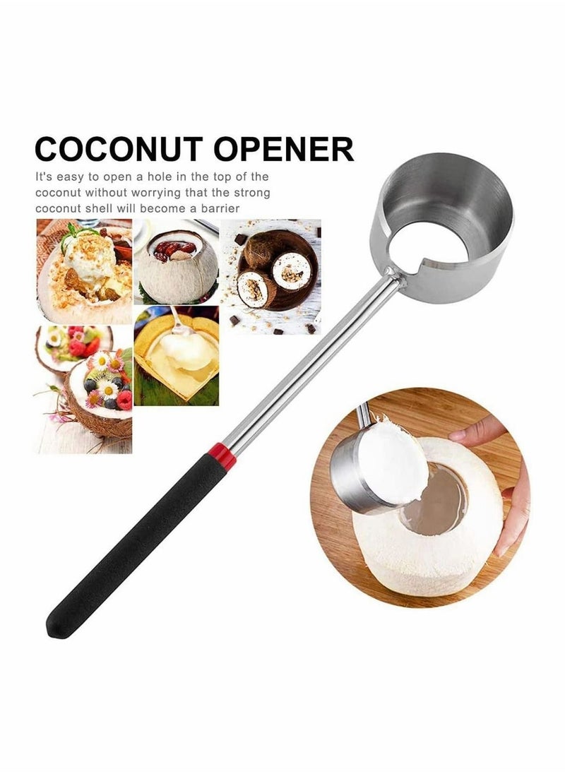 Stainless Steel Coconut Opener Set, Young Coconuts Opening Tool Kit with Hammer, Rubber Mallet with Handle